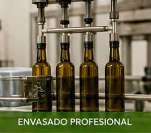 Aceites de Sol - Envasado Profesional