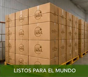 Aceites de Sol - Listos para el mundo